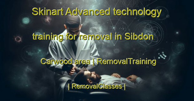 Skinart Advanced technology training for removal in Sibdon Carwood area | RemovalTraining | RemovalClasses | SkinartTraining-United Kingdom
